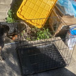 Dog Cage