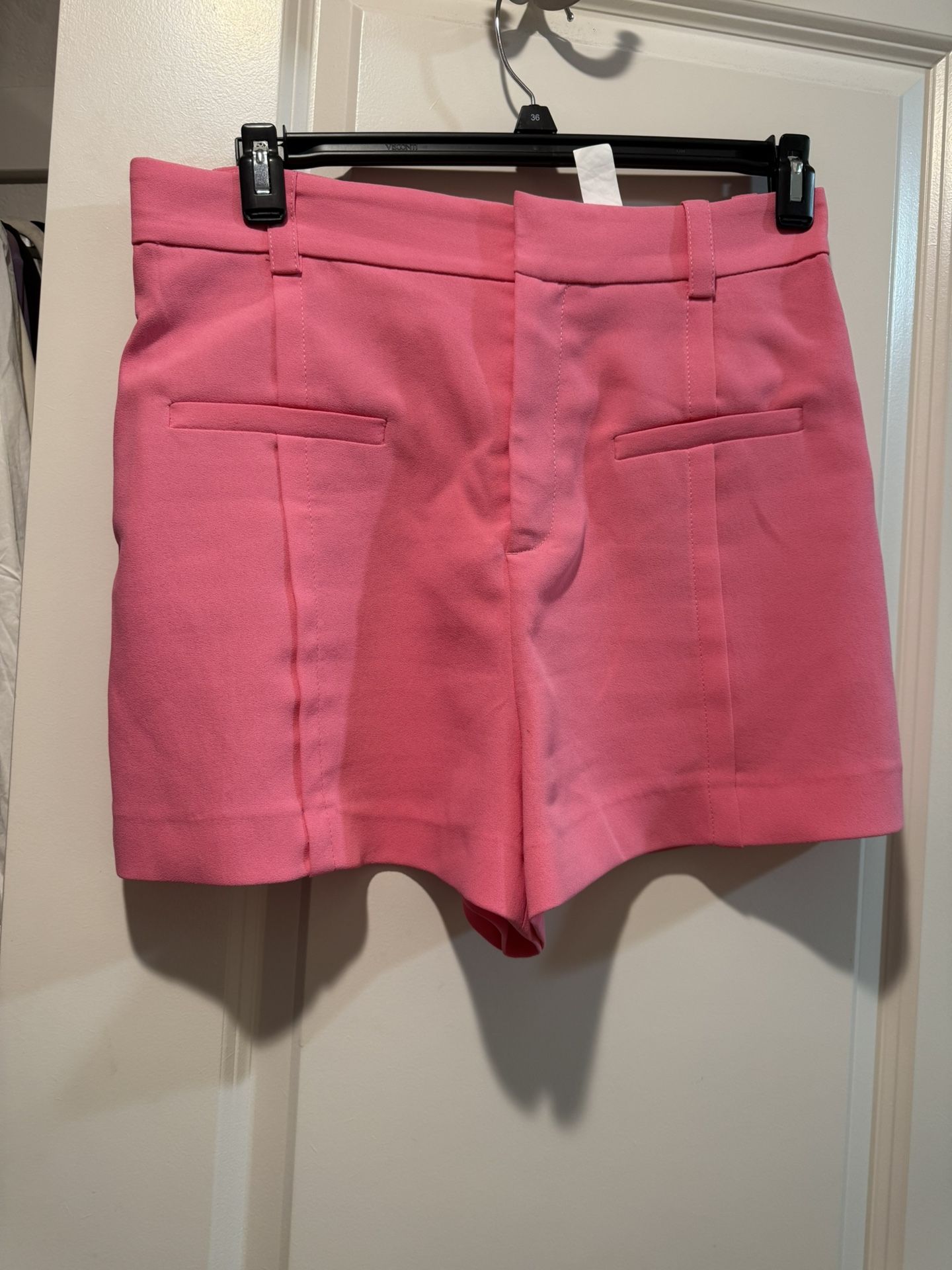 Zara Shorts