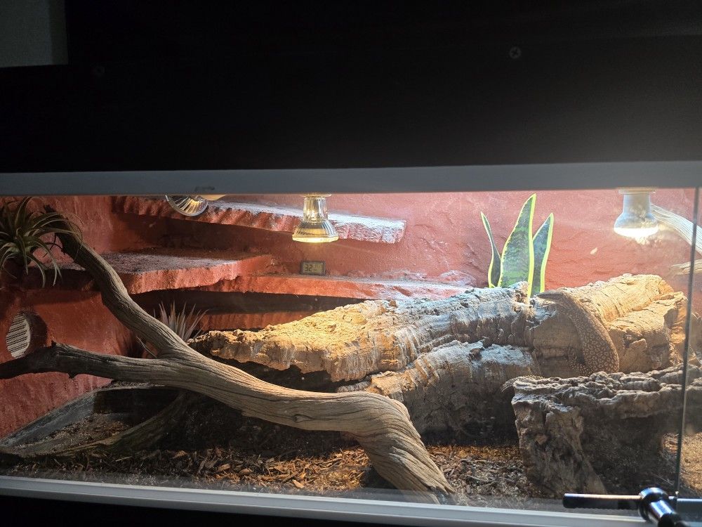 Reptile Enclosure