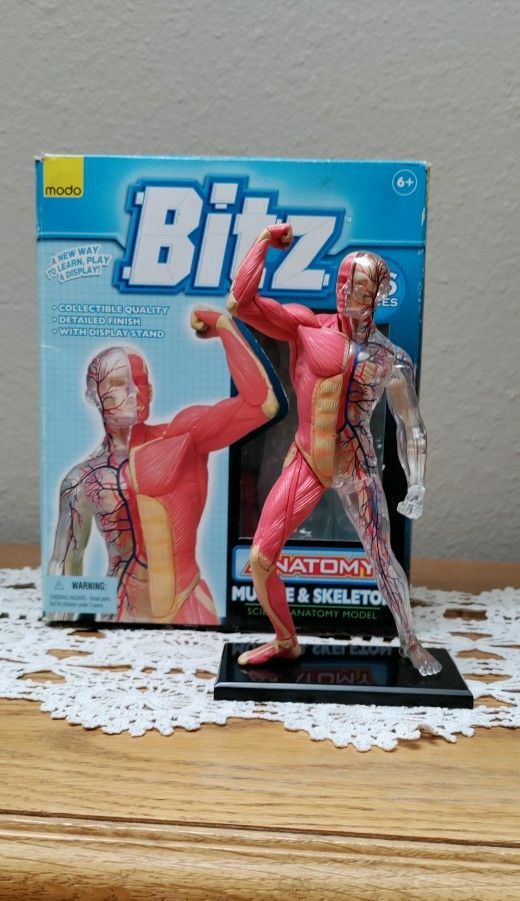 Bitz 4D Human Science Anatomy Model