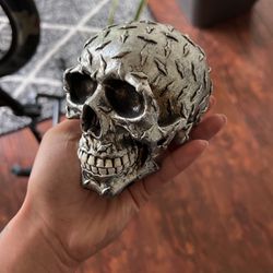Skull Collectible