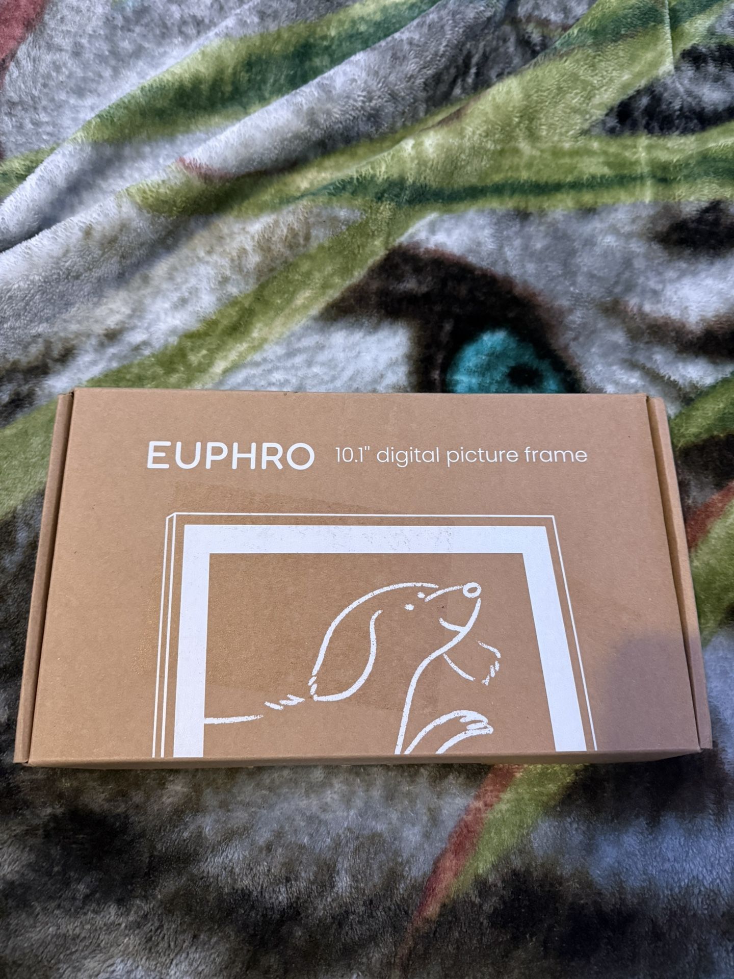 Digital Picture Frame