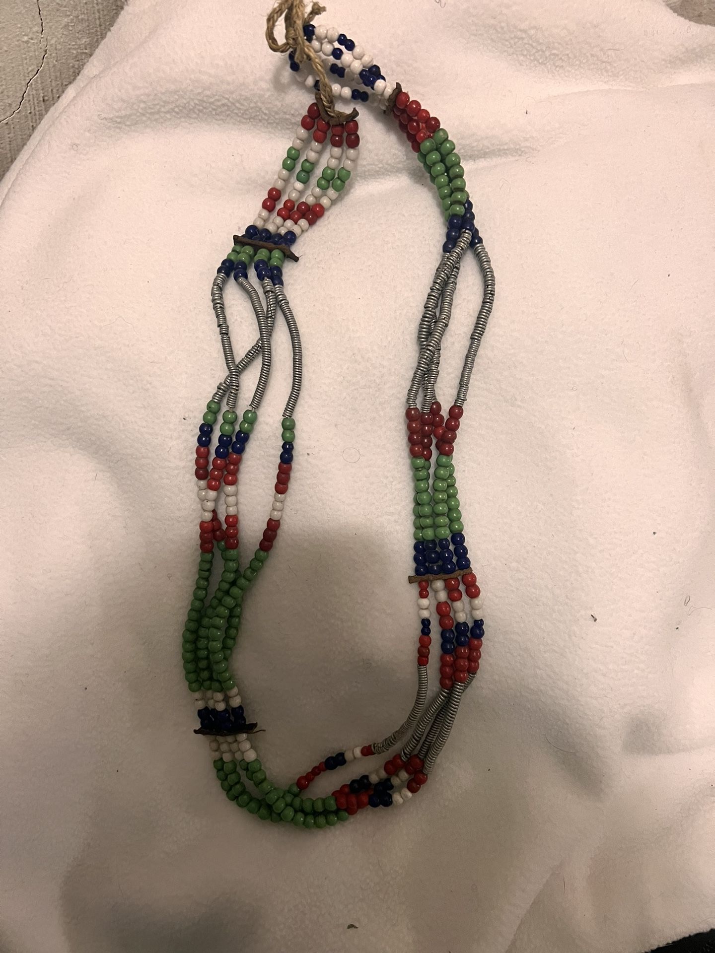 Large Ocean Shells 🐚 