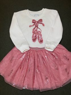 Pink skirt and sweater (size S 5/6)