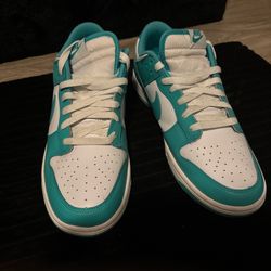 Nike Dunks 