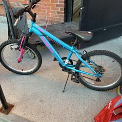 20 Inch Bike 