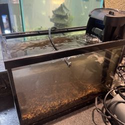 Small Fish Tank
