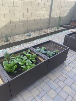 Solid Wood Planters