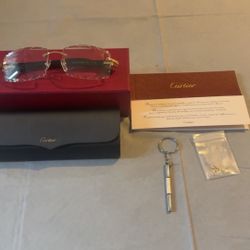 Diamond Cut Buffalo Horn Cartier sunglasses 