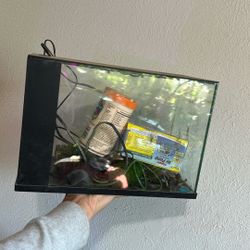 Fish Tank