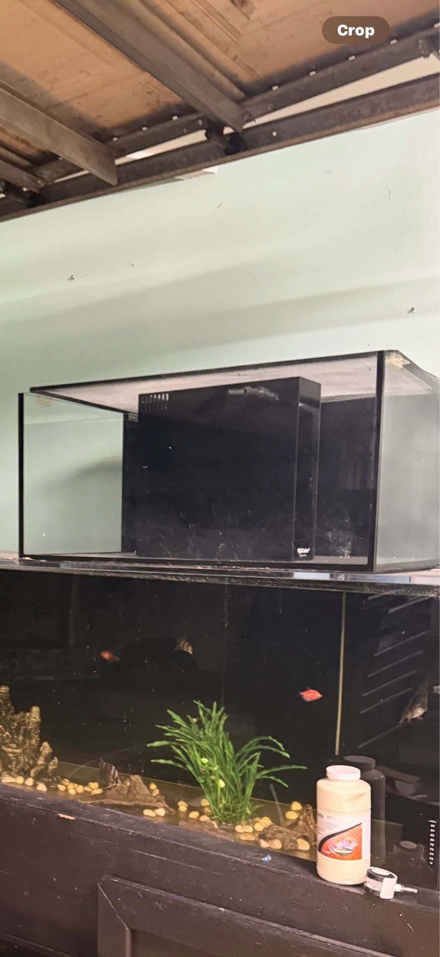 Fish tank