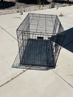 Large dog crate