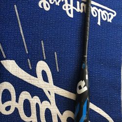 2019 demarini cf zen