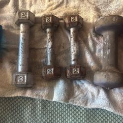 12 Pounds Of Dumbbells Weights Mini Iron Dumbbells 