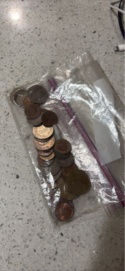Mixed Loose Coins in Zip Bag