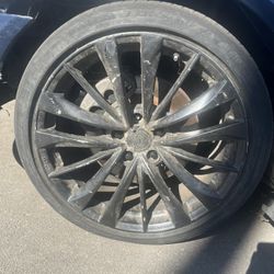 2rims