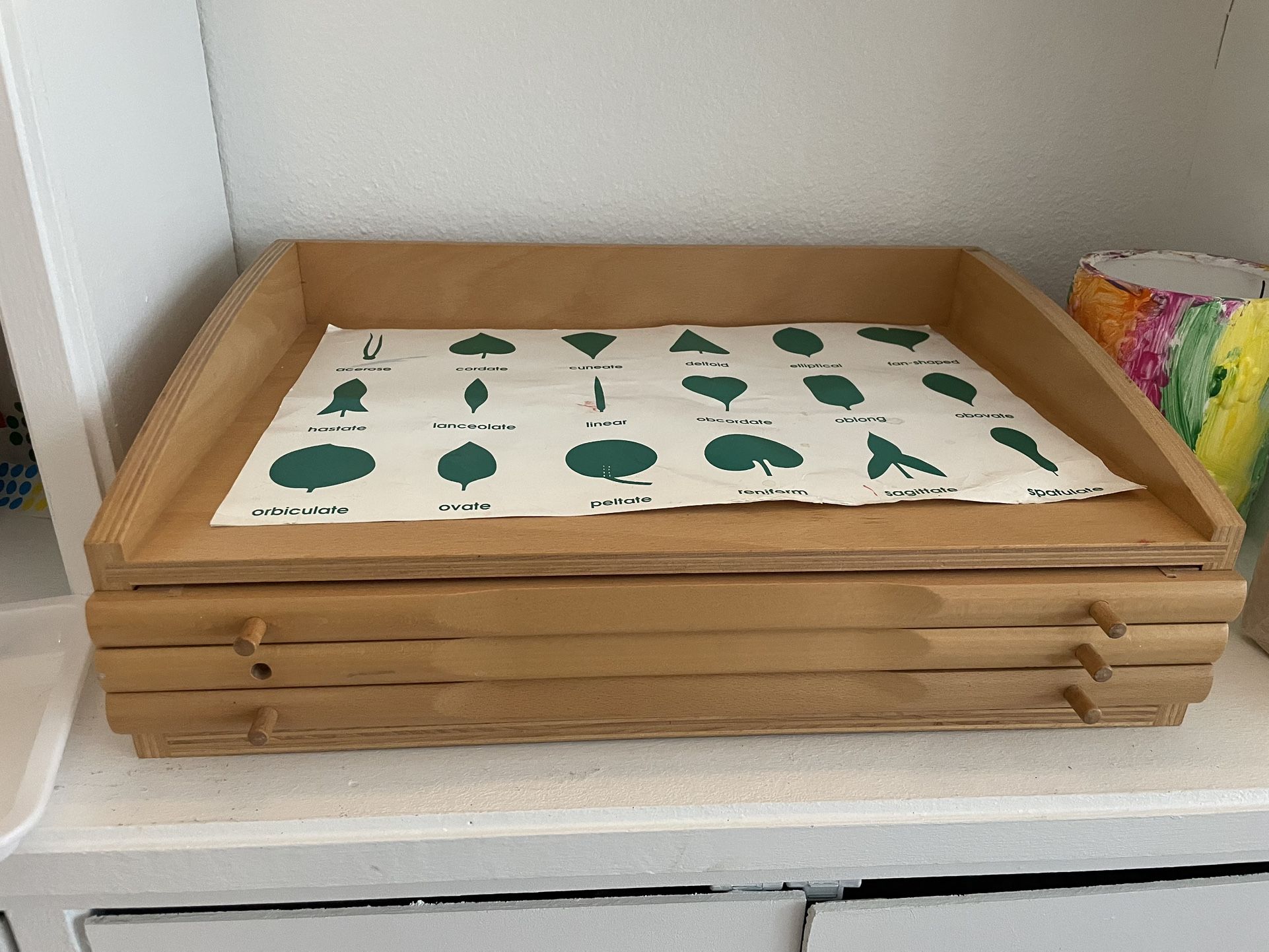 Montessori Botany