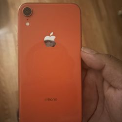 iPhone XR Coral