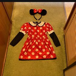 Dress Minnie Costume