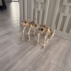 Pair Of Cat Skeleton Halloween Decoration 