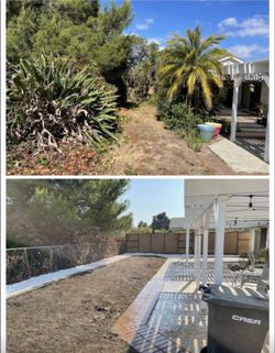 Yard cleanups