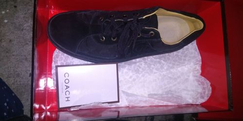 Coach shoes