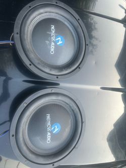 Nemesis 12’s woofers