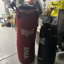 Everlast Punching Bags 
