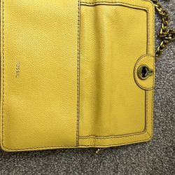 Yellow Fossil Purse