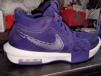 Lebron purple witness 8 Nike shoes