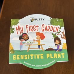 Sensitive plant garden 4” pot