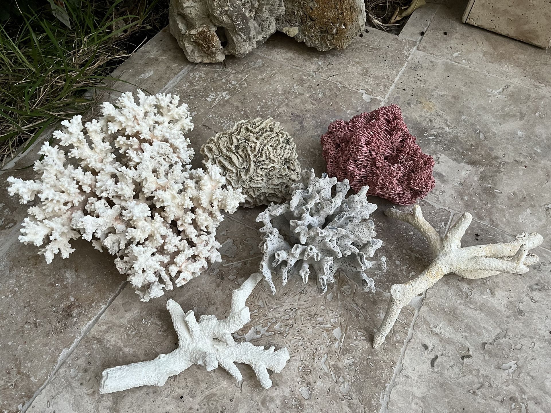 Natural Corals Aquarium Fish tank