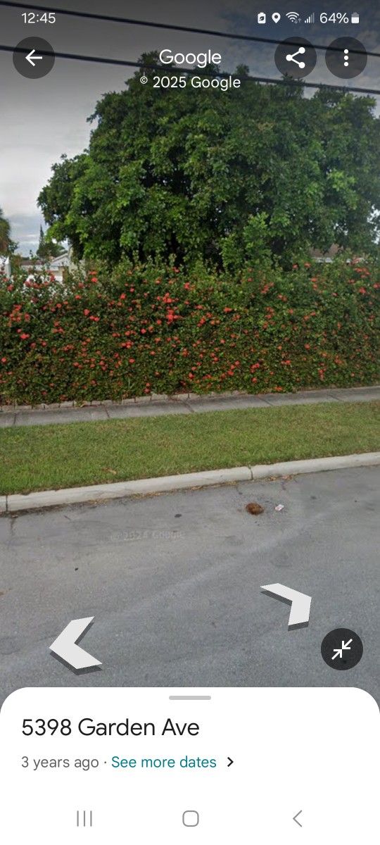 Free Hedges Scrubs Plants To Replant