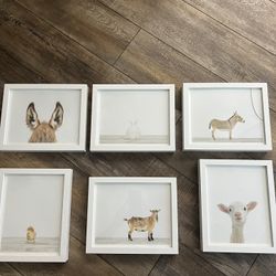 Restoration Hardware Framed Animal Prints 