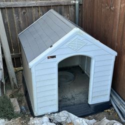 Dog House