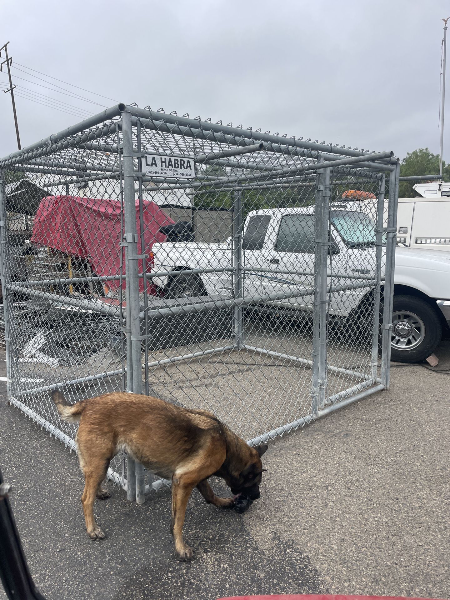 heavy duty police K9 kennel