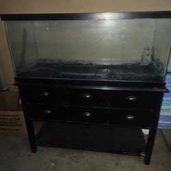 75gal Fish Tank