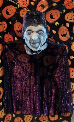 HALLOWEEN COSTUME CAPE