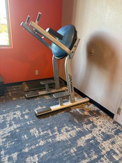 Life Fitness Signature Series Leg Raise VKR