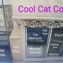 Custom Feral Cat House - Outdoor Tri-Level Luxury Cat Condo 