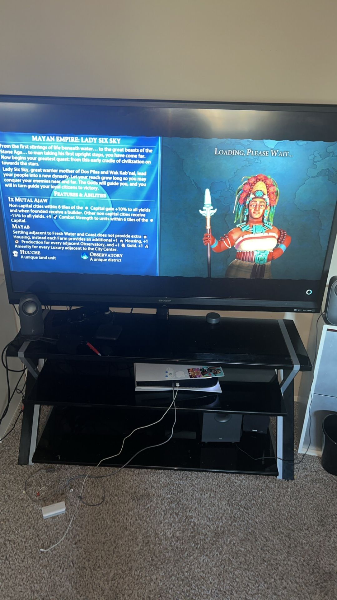 65” TV With Stand