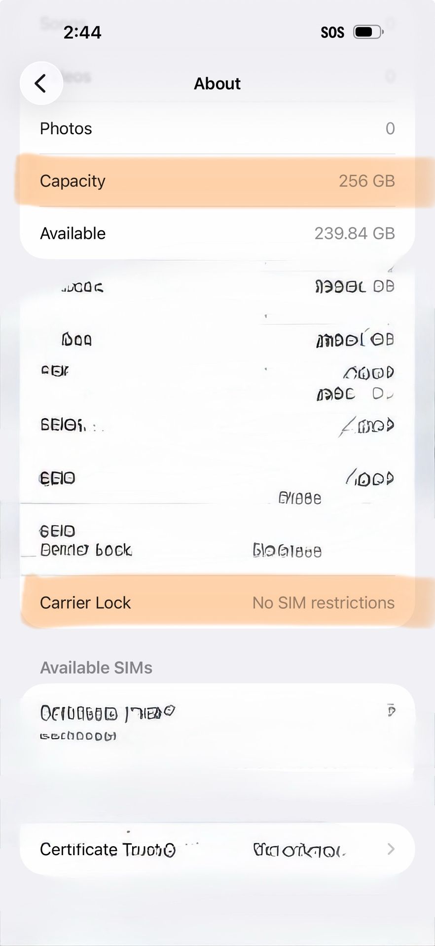 Corsage Prom Wrist Flower For Her Prom date Flowers 