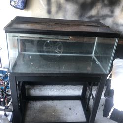 40 Gallon Tank With Stand