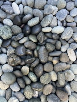 Mexican Beach Pebble