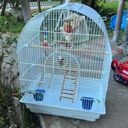 Bird Cage White 