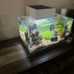 Fluval Fish Tank 
