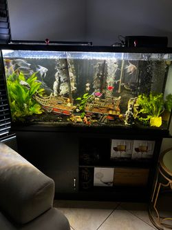 Fish Tank Aquarium