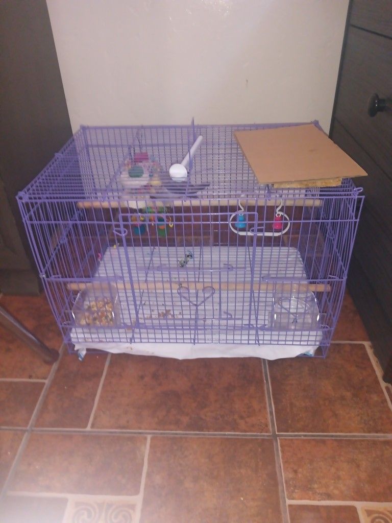 Bird Cage