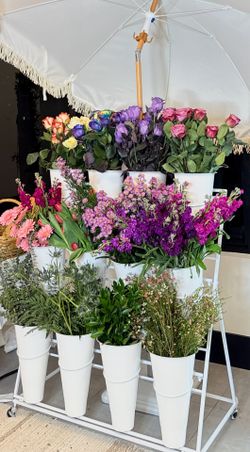 Bloom Bar