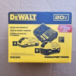DeWalt 20 Volt Battery Starter Kit 6.0 + 4.0